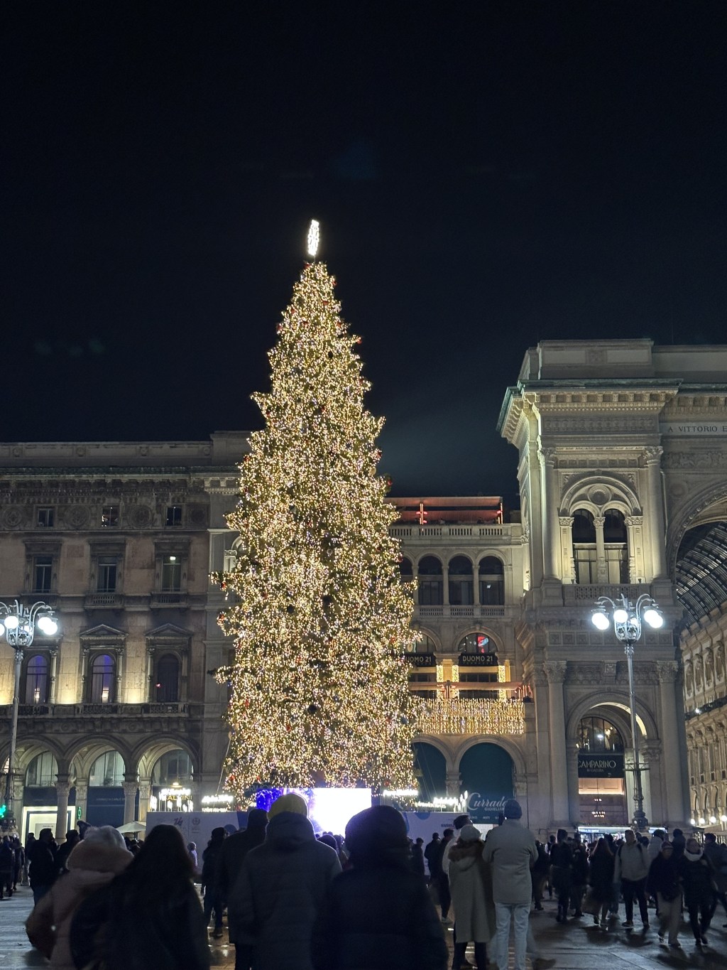 All I want for Christmas is&nbsp;you.